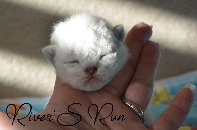 victoria 16.01 (3).jpg